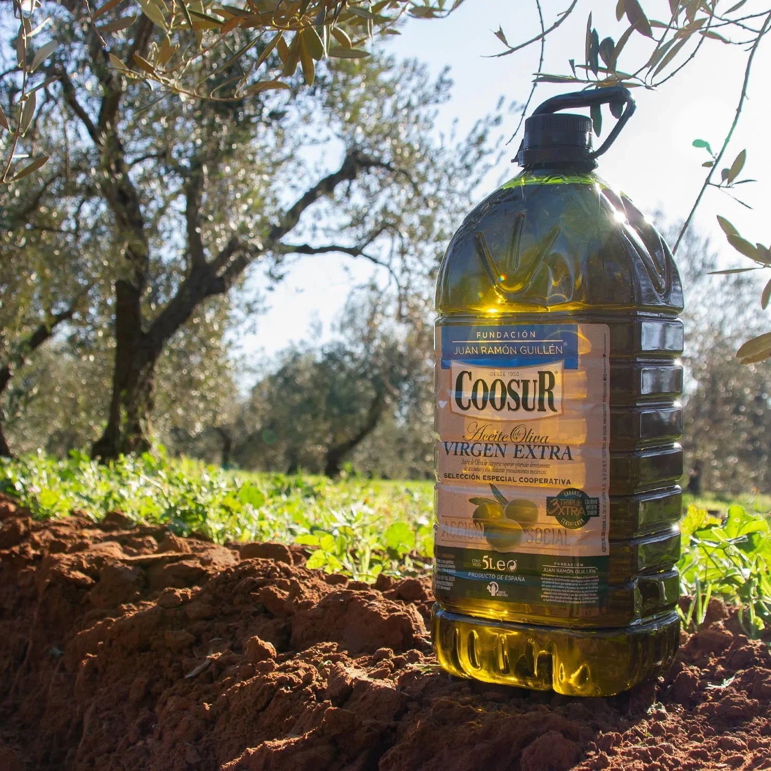 Aceite de Oliva Virgen Extra 5L